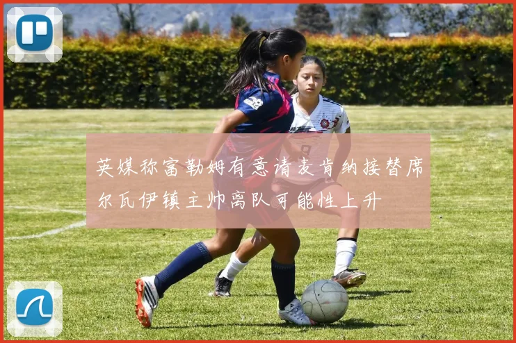 英媒称富勒姆有意请麦肯纳接替席尔瓦伊镇主帅离队可能性上升