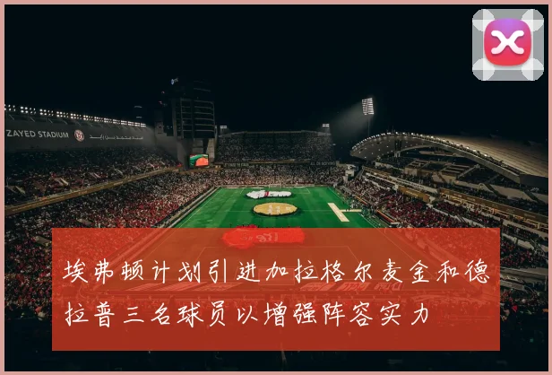埃弗顿计划引进加拉格尔麦金和德拉普三名球员以增强阵容实力