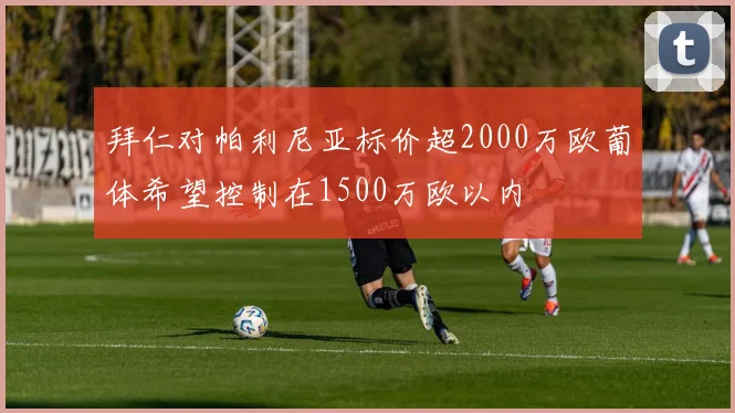 拜仁对帕利尼亚标价超2000万欧葡体希望控制在1500万欧以内